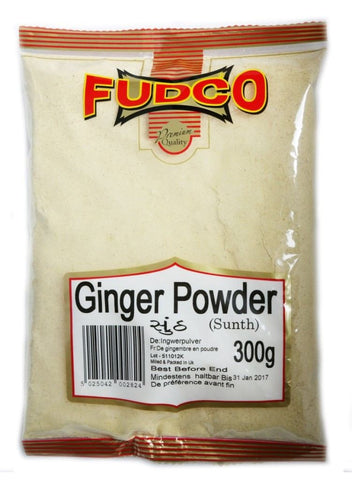Fudco Ginger Powder 100 GM
