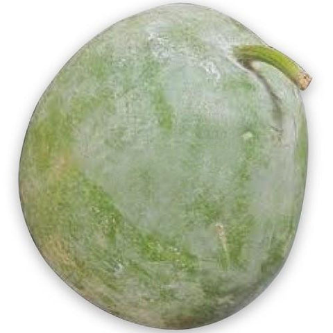 Ash Gourd Green 1 kg - SabAdda - Asian Grocery Store
